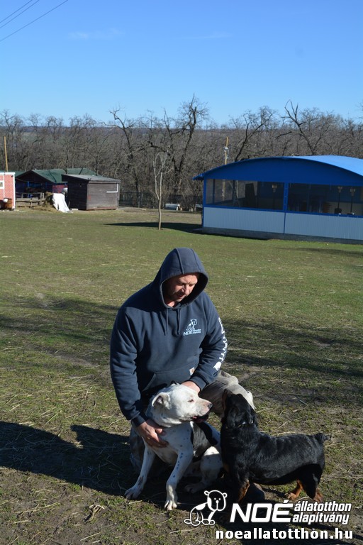 dsc_0663_2.jpg