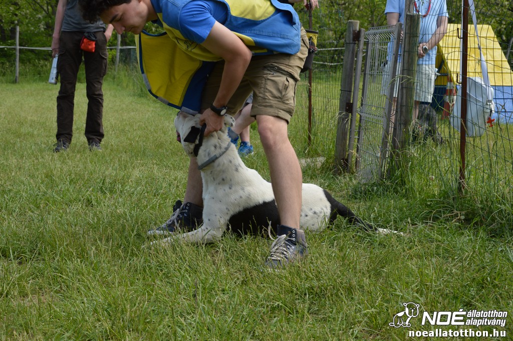 dsc_0914.jpg