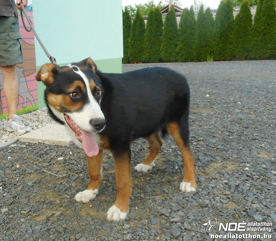 dscn3612.jpg