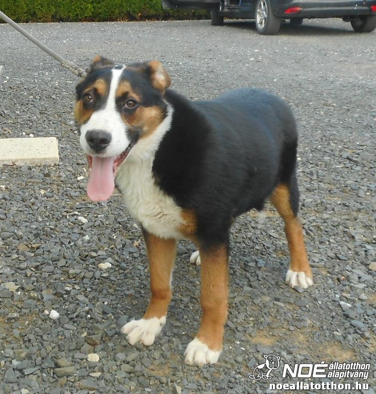 dscn3625.jpg