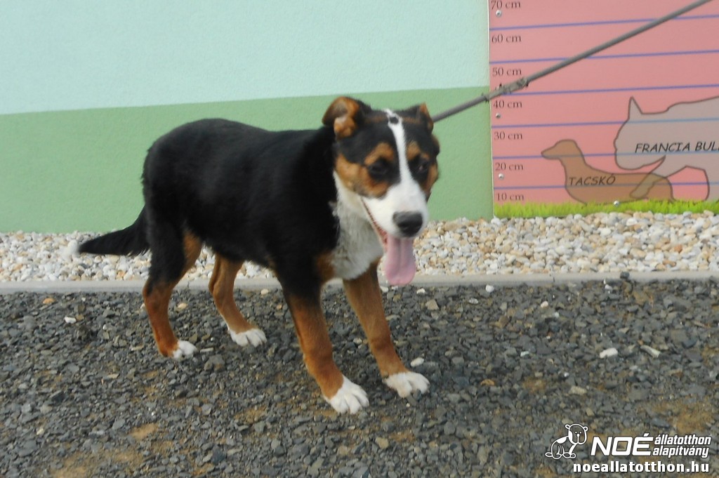 dscn3630.jpg