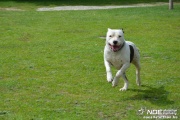 dsc_0033_msolata.jpg