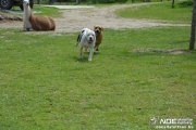 dsc_0035_msolata.jpg