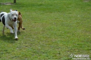 dsc_0036_3.jpg