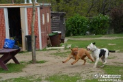 dsc_0083_3.jpg