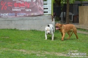 dsc_0086_3.jpg