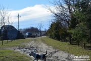 dsc_0591.jpg