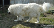 dscn1444.jpg