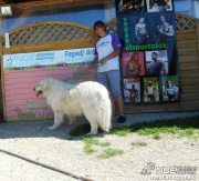 dscn3069.jpg