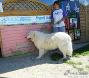 dscn3070.jpg