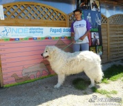 dscn3072.jpg