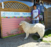 dscn3073.jpg