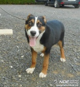 dscn3627.jpg