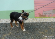 dscn3629.jpg