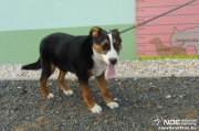 dscn3630.jpg