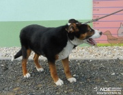 dscn3631.jpg