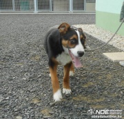 dscn3636.jpg