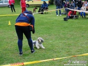 image000751_tn.jpg
