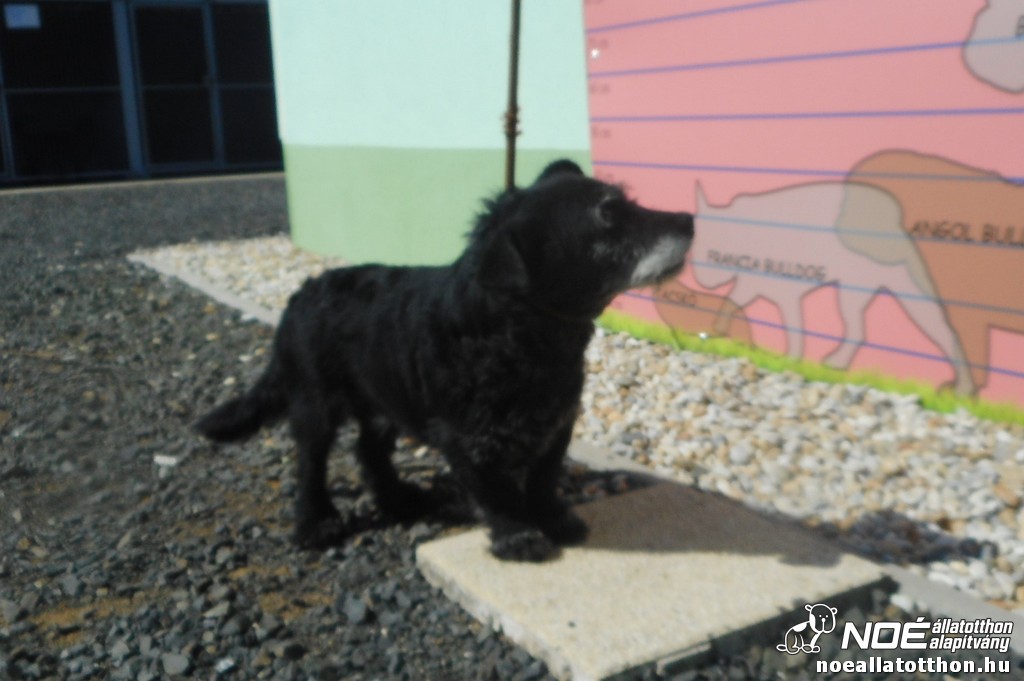 dscn5778.jpg
