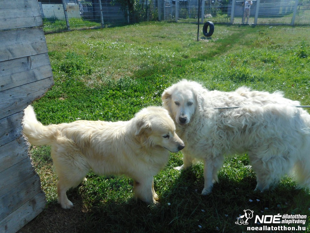 dscn4500_2.jpg