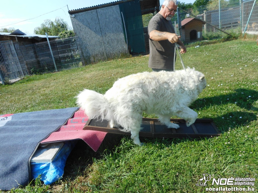 dscn4528.jpg