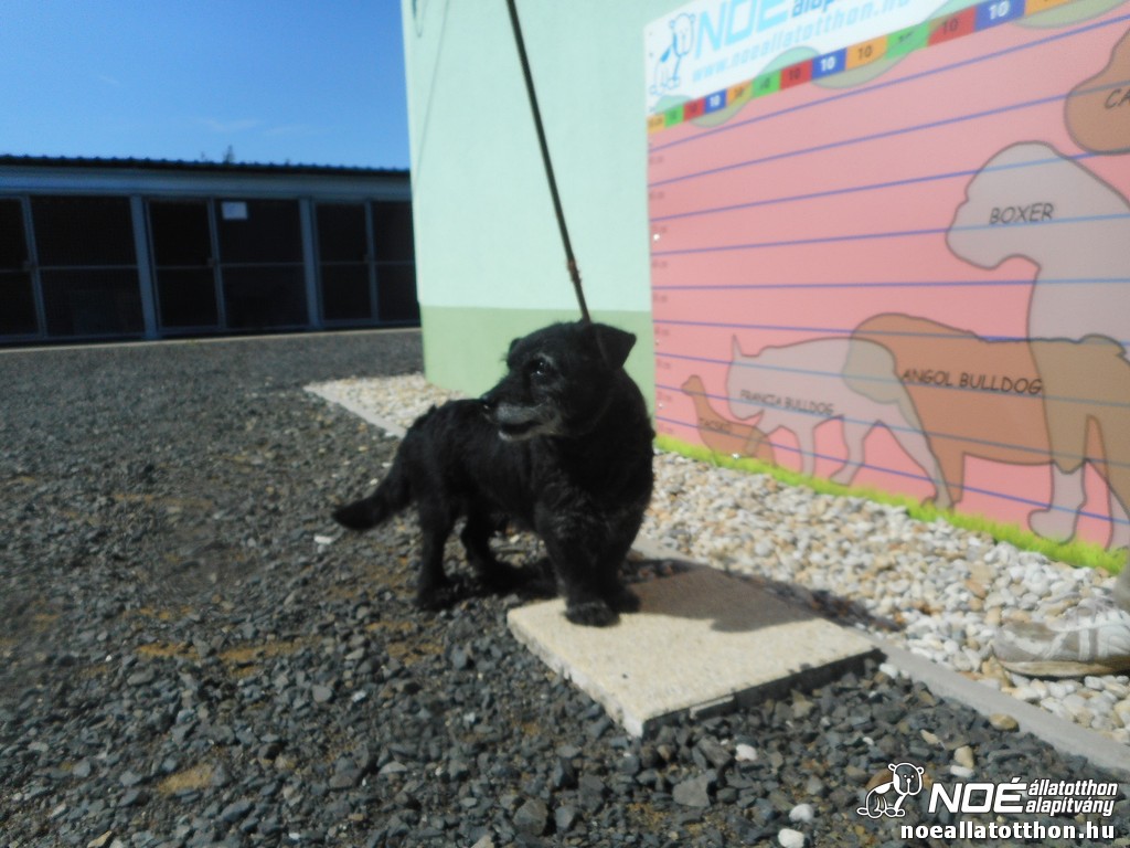 dscn5780.jpg
