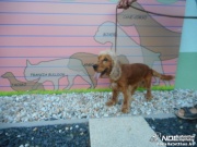 dscn4249.jpg