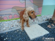 dscn4253.jpg