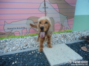dscn4256.jpg