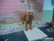 dscn4259.jpg