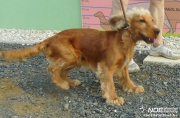 dscn4318.jpg