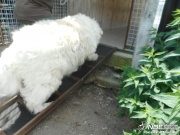 dscn4458.jpg