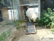 dscn4464.jpg