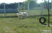 dscn4510.jpg