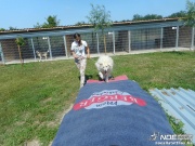 dscn4534.jpg