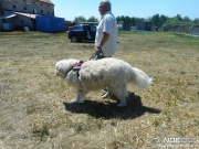 dscn4787_msolata.jpg