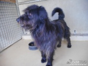dscn5507.jpg