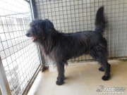 dscn5514.jpg