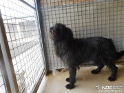 dscn5516.jpg