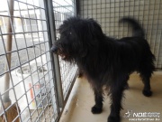 dscn5519.jpg