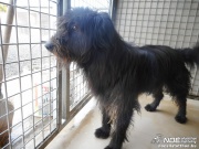 dscn5525.jpg