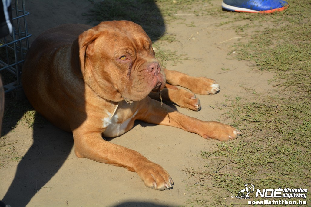 dsc_0122.jpg