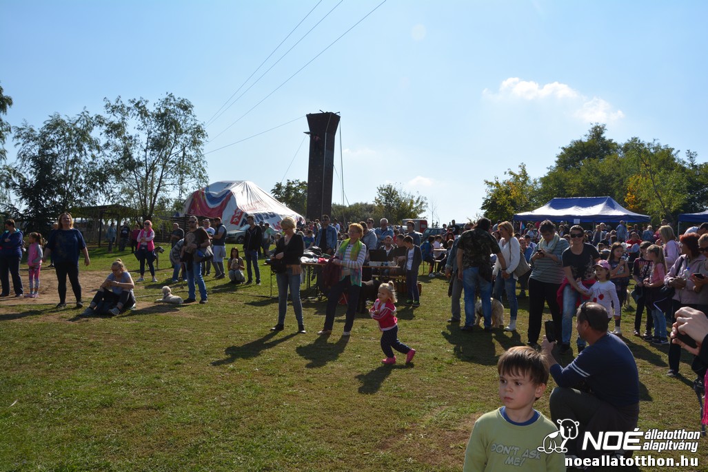 dsc_0143.jpg