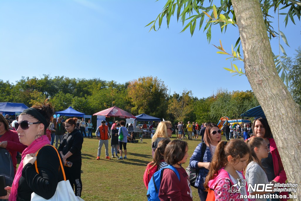dsc_0144.jpg