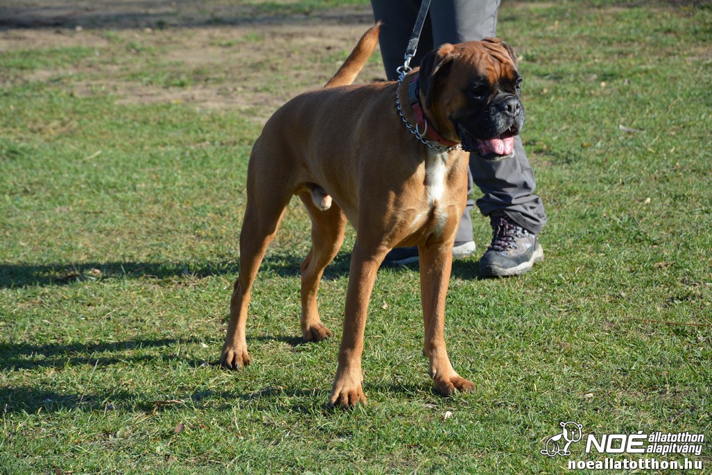 dsc_0864_2.jpg