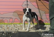 dscn6175.jpg