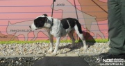 dscn6176.jpg