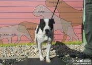 dscn6178.jpg