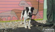 dscn6179.jpg