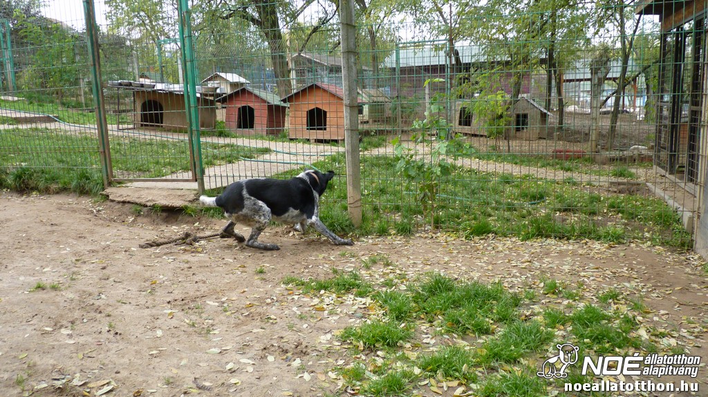 p1600005.jpg